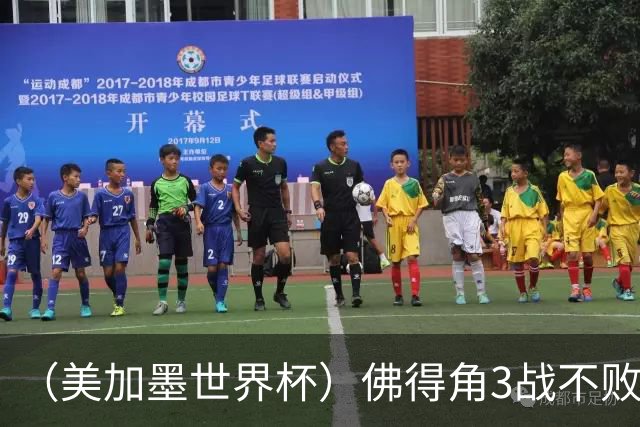 （美加墨世界杯）佛得角3战不败历史性晋级 西班牙队稳坐小组头名